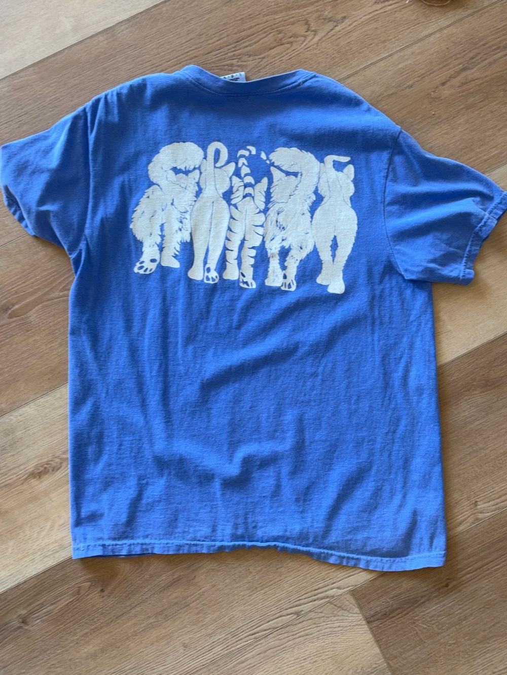 comfort colors taylor swift midnights cat graphic tee, large 🐈⬛🐈 - Picture 2 of 2